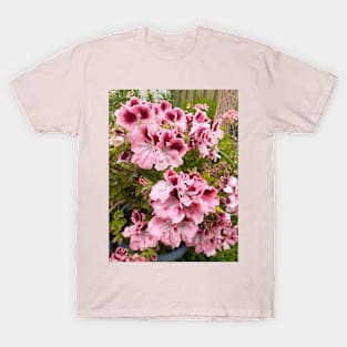 Pelargonium Flower Peach Pink T-Shirt